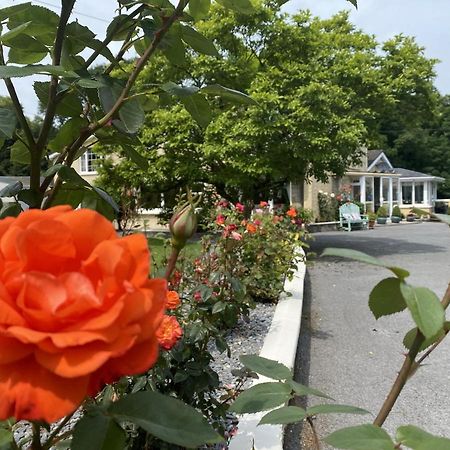 Bed and Breakfast Copperfield House Кашел Екстер'єр фото